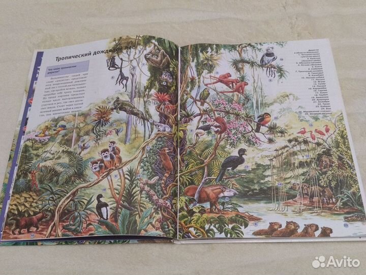 Книга тропики