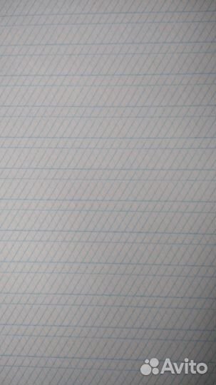 Тетради школьные, 12 листов, частая косая линейка