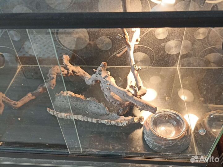 Аквариум для ящериц