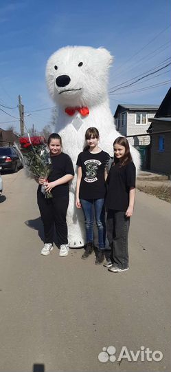 Белый медведь.Поздравления.Ростовые куклы