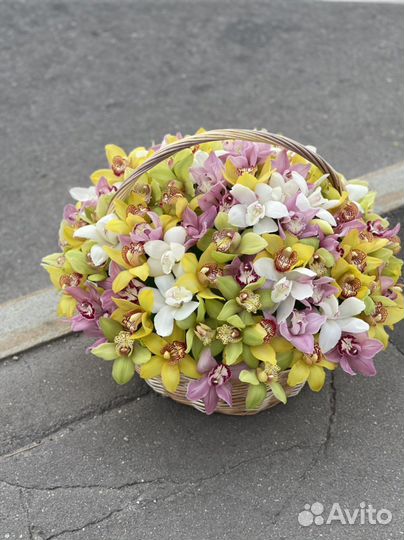 Орхидея в корзине