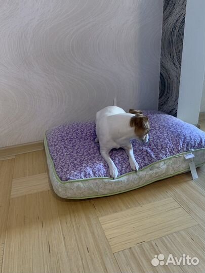 Лежанка для собак и кошек