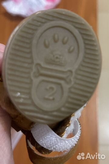 Ботинки для маленьких собак