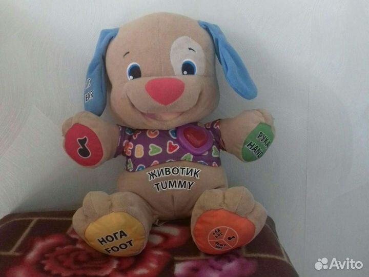 Умный щенок