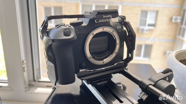 Canon eos r6 mark ii body