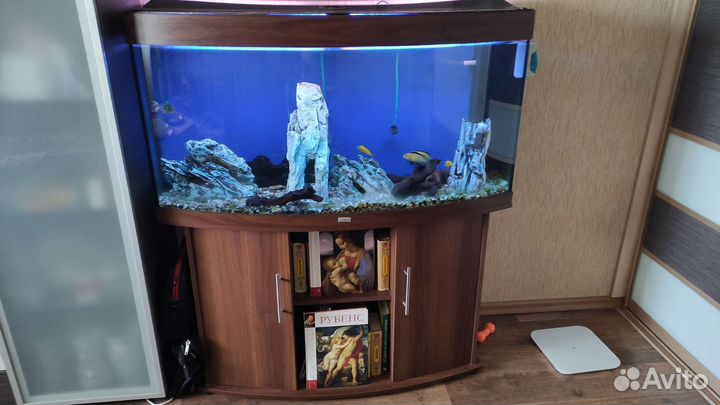 Аквариум Juwel vision 260 литров