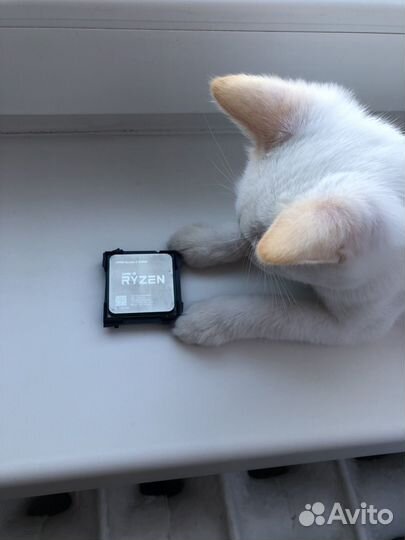 Amd ryzen 3 2200g