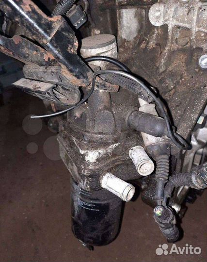 Радиатор масляный Volkswagen Golf 4 1999