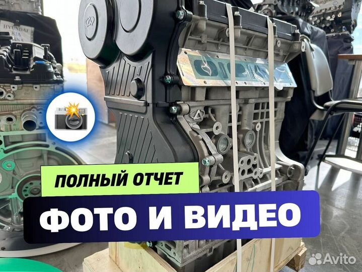 Двигатель SQR484F