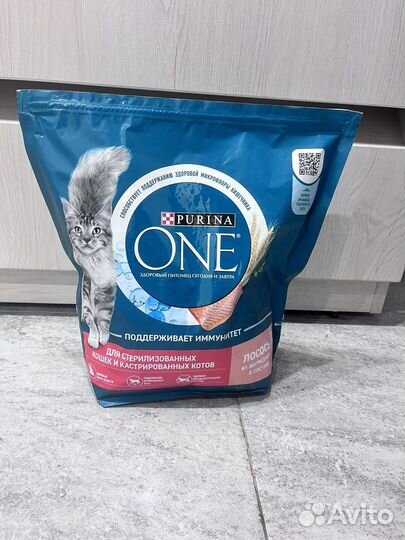 Кошачий домик