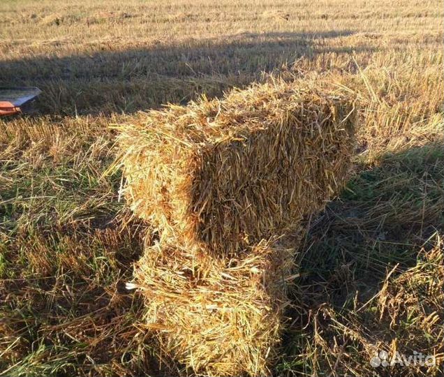 Сено Солома в тюках тюки мешки Опилка