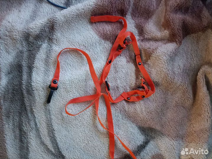 Ошейник и миски за батончик