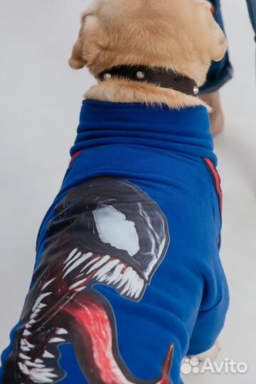 Спортивный костюм/одежда для собак