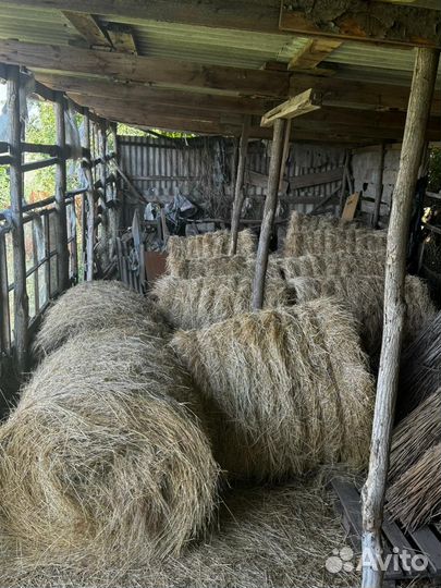 Сено в тюках
