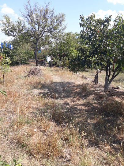 Участок 4,2 сот. (СНТ, ДНП)