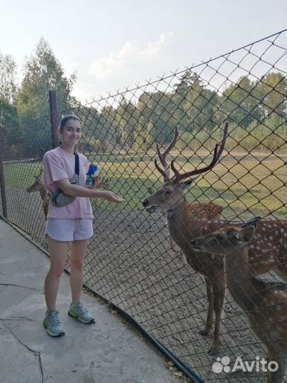 Няня-сопровождающая/ бебиситтер (няня на час)