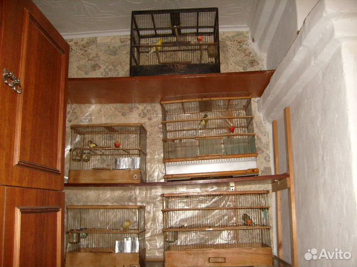 Клетки для птиц