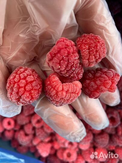 Малина замороженная в наличие 15 тон