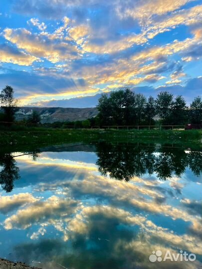 База отдыха Оазис