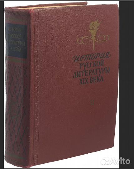 История русской литературы 19 века (60-80е годы)
