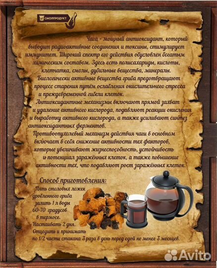 Березовый гриб чага