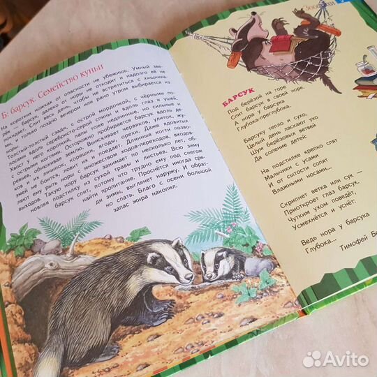 Книги для детей. Маленькая энциклопедия