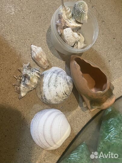 Аквариум 30 литров