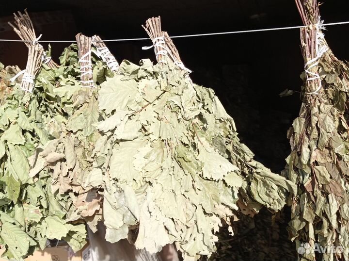 Дубовые веники для бани