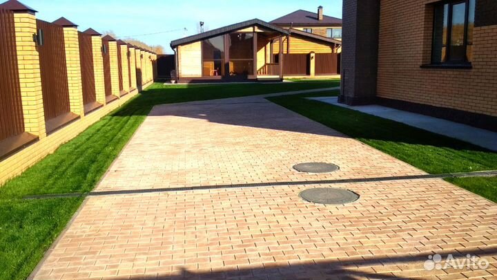 Газон посевной