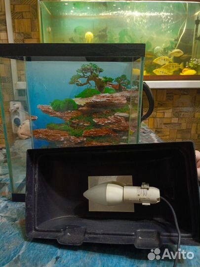 Аквариум
