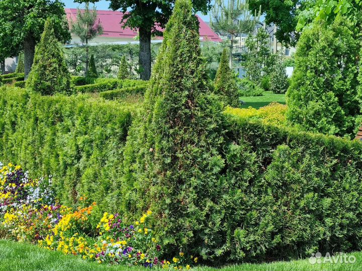 Благоустройство