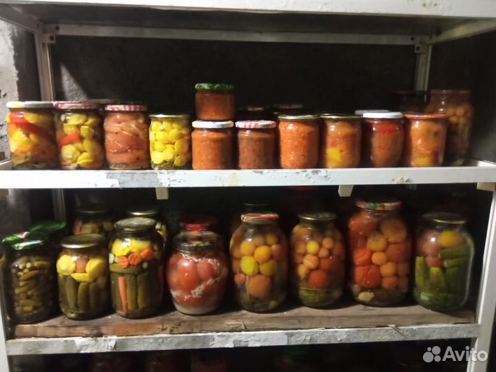 Соленья домашние