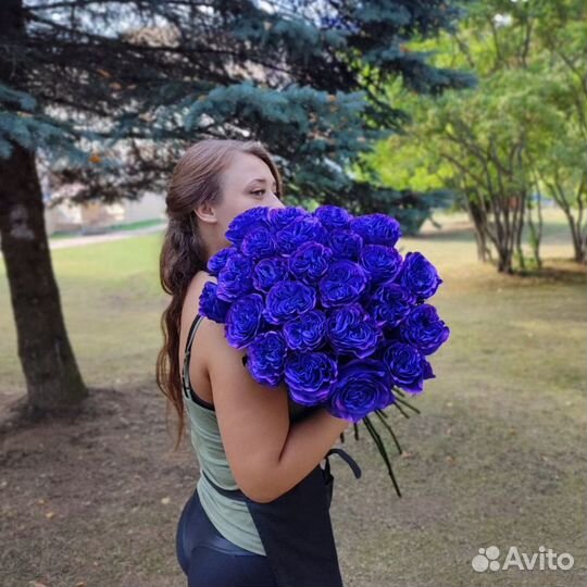 Букет синих роз, Эквадор, 60см 151 шт