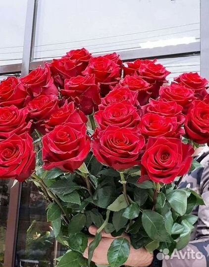 Розы Цветы Букеты 25 151 201 101 301 501 опт