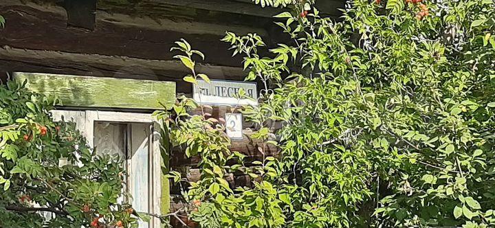 Дом 29,2 м² на участке 7 сот.