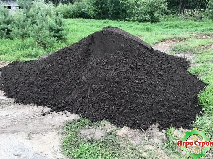 Чернозем