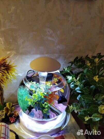 Грунт натуральный, декор, 3 сачка, для аквариума