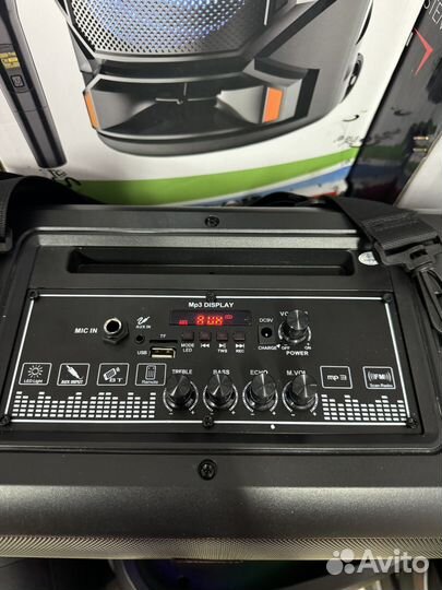 Колонка Elteonic 20-67 250 watt