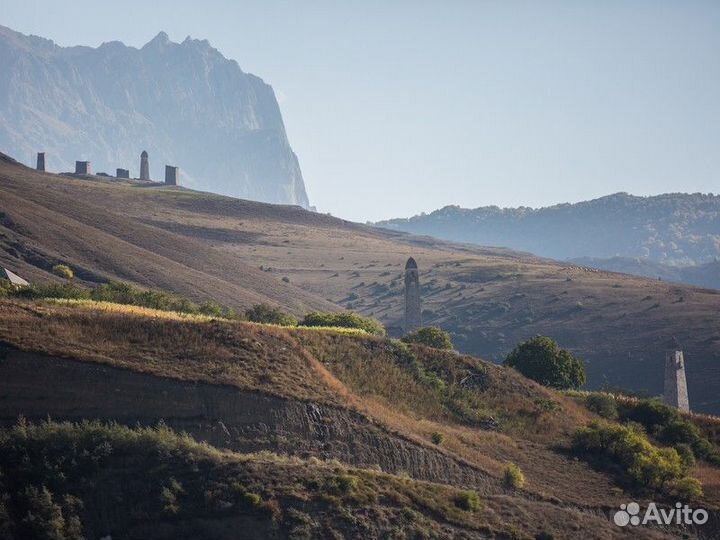 Экскурсия — Владикавказ — Влюбиться вИнгушетию зао