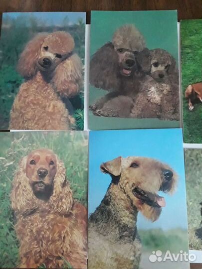 Открытки ссср, Чехия