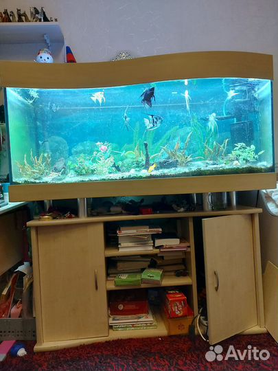 Аквариум Эхейм