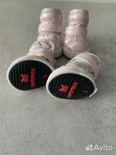 Ботинки для собаки