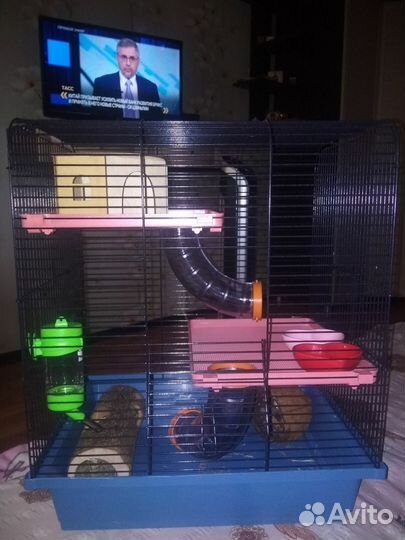 Клетки для грызунов,белок,хомяков,крысок и т.Новые