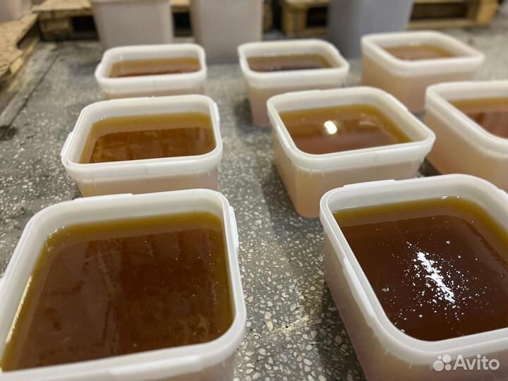 Оптом мед с Алтая