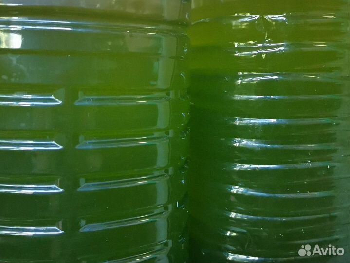 Хлорелла для озера