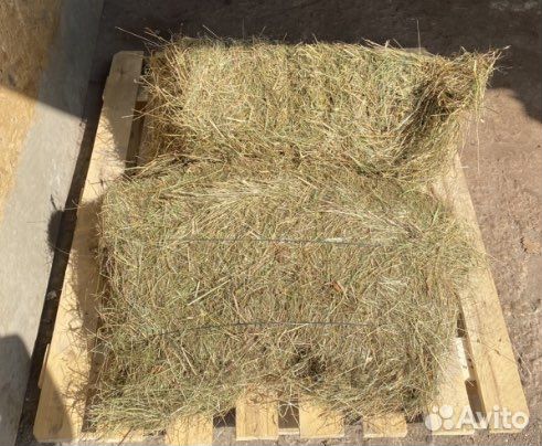 Сено в тюках