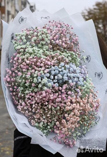 Гипсофила радужная