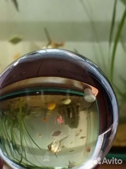 Шар стекло 105 мм