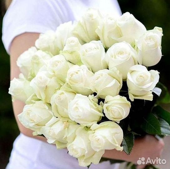 Розы Цветы Букеты 25 151 201 101 301 501 опт