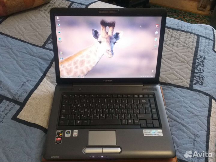Toshiba A300D
